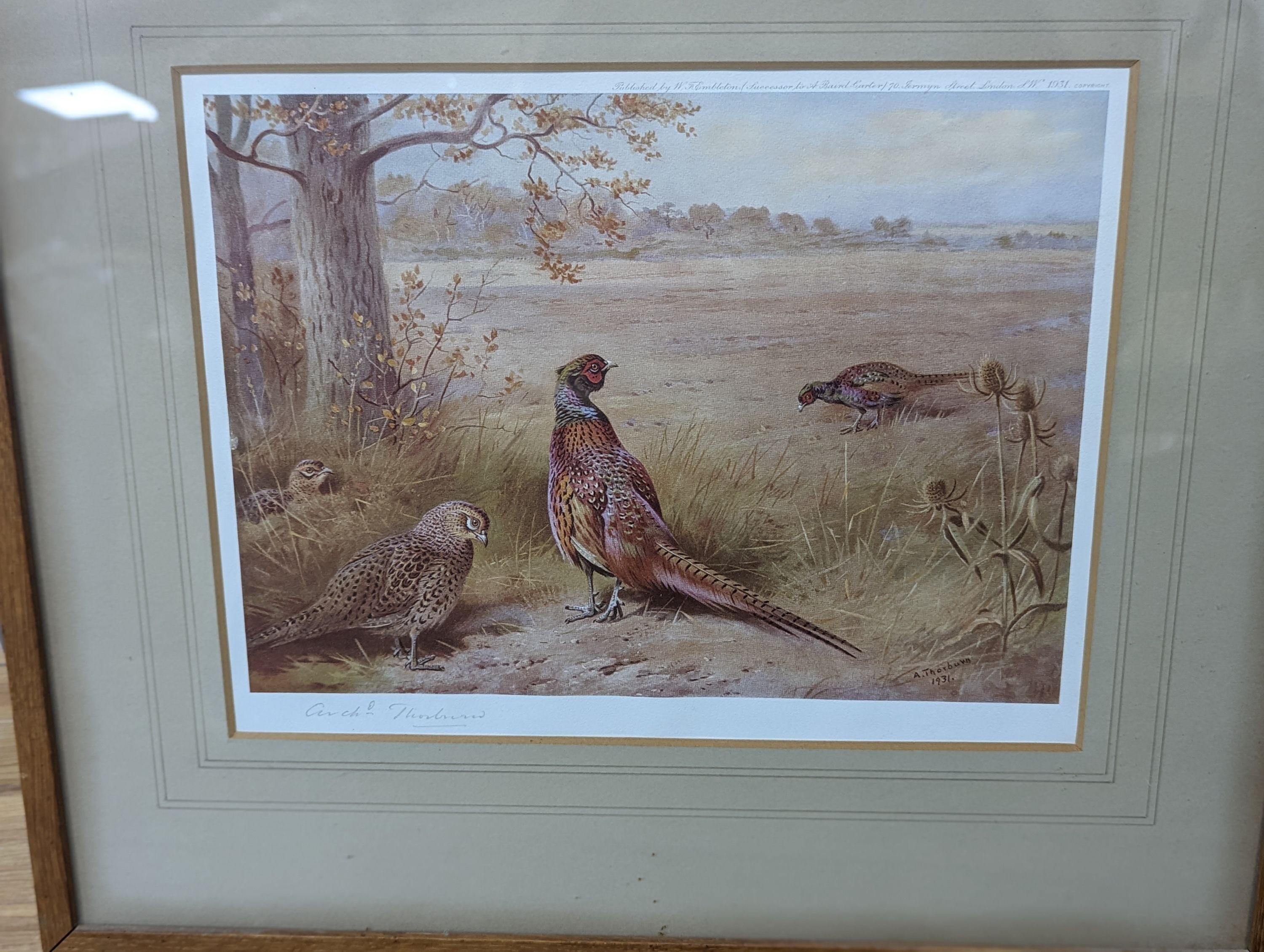 A group of assorted ornithological prints including three lithographs after Edward Lear, largest 52 x 36cm